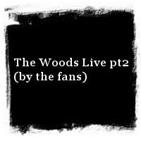 Sleater-Kinney · 2006 Lives · The Woods Live pt2 (by the fans)