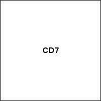 CD7